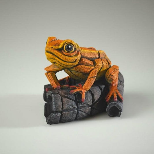 African Frog