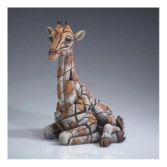 Giraffe Calf
