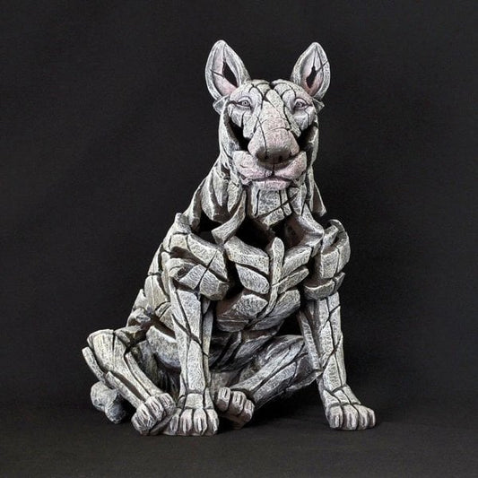Bull Terrier - White