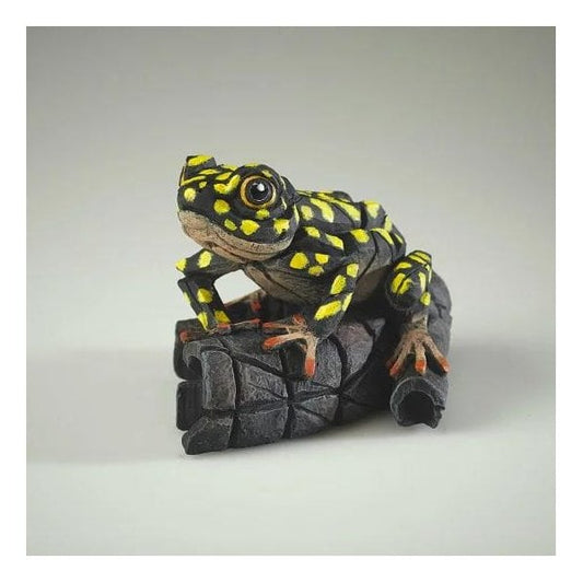 African Frog
