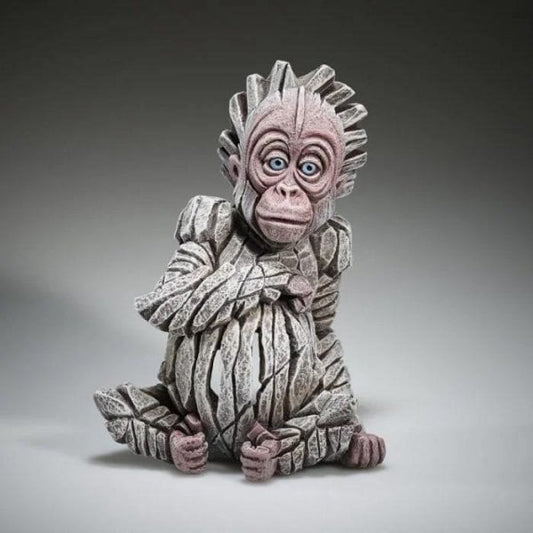 Baby Orangutan ‘Alba’
