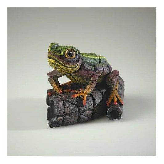 African Frog - Rainbow