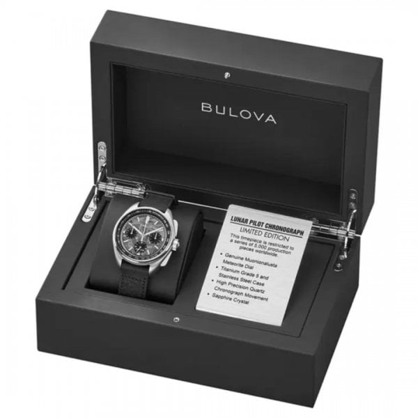 Lunar Pilot Meteorite Watch