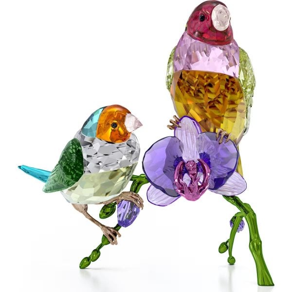 Idyllia SCS Annual Edition 2024 Gouldian Finches