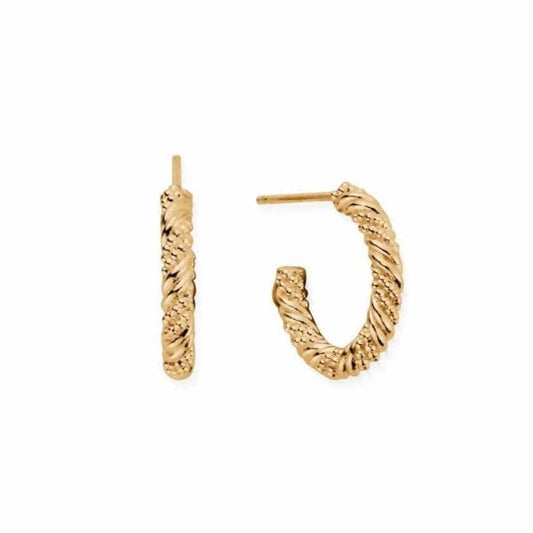 Gold Entwined Passion Hoop Earrings