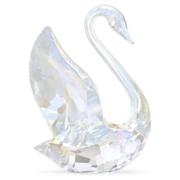 SCS Annual Edition Swan 2024