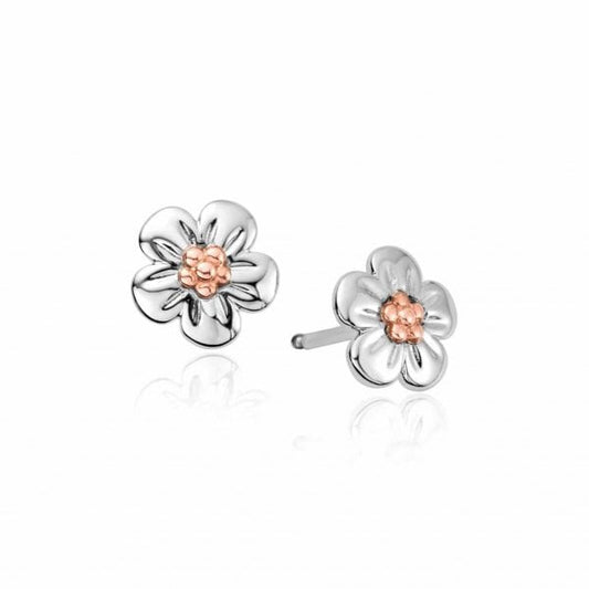 Forget Me Not Earrings