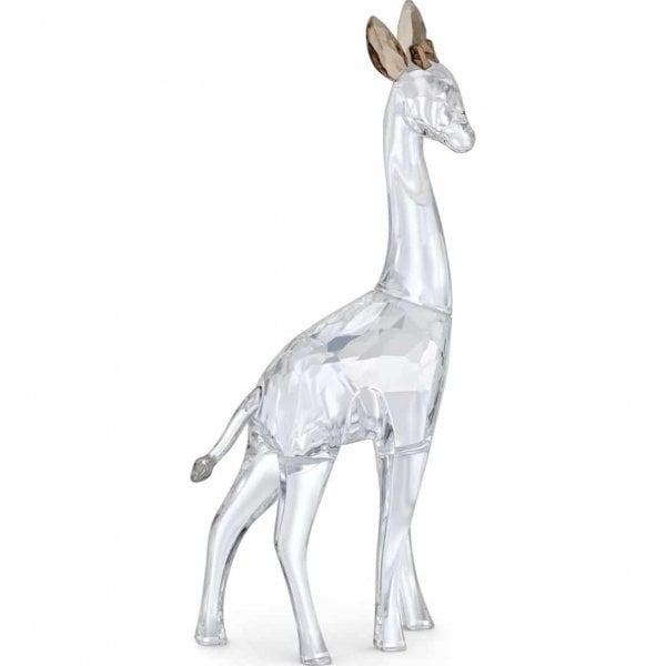 African Sunset Giraffe Nohea