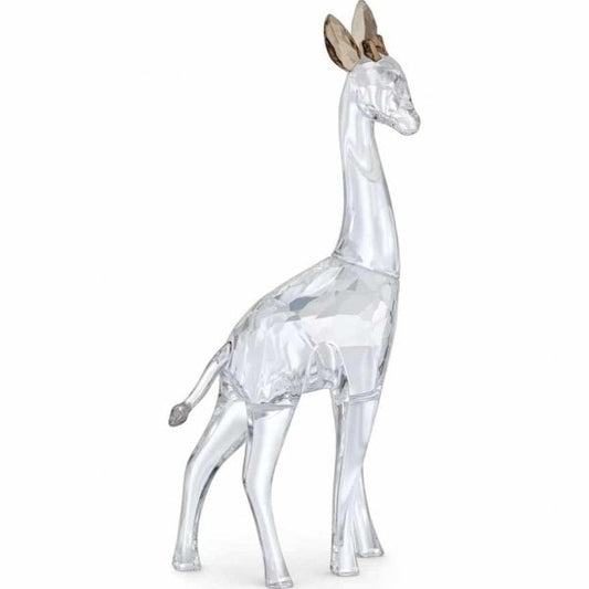 African Sunset Giraffe Nohea
