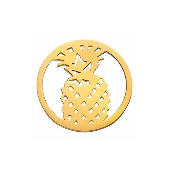 Pineapple Halo Coin