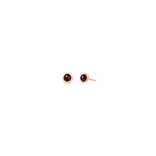 Garnet Healing Stud Earrings