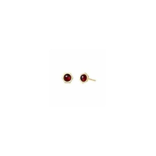 Garnet Healing Stud Earrings