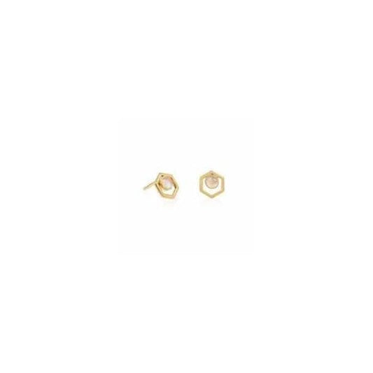 Gold Rose Quartz Healing Earrings