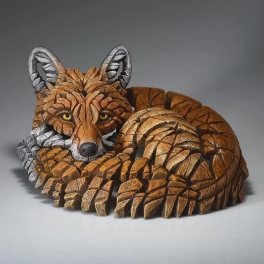 Curled up Red Fox