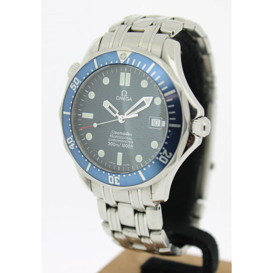 Men's Steel Seamaster 25318000