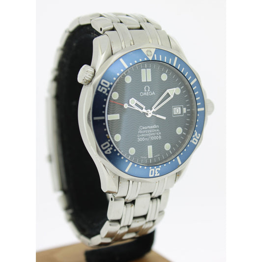 Men's Steel Seamaster 25318000