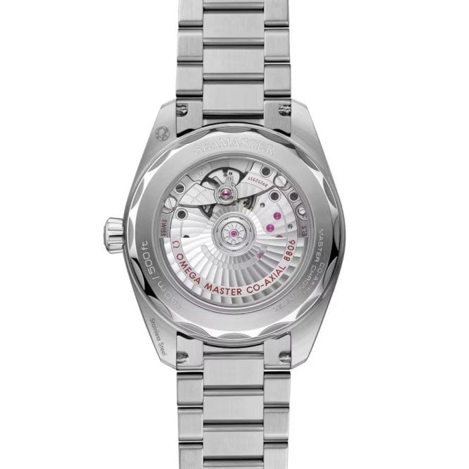 Seamaster Railmaster 38mm Gents Watch