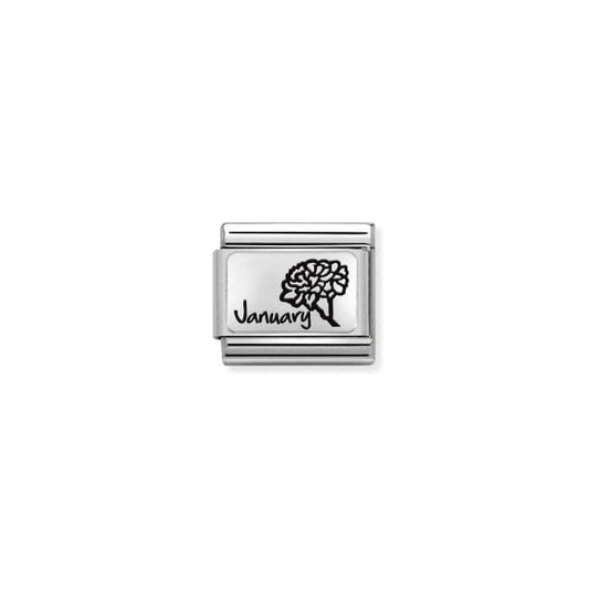 Silver January Month Flower Plates