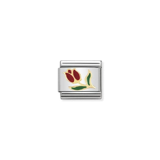 Tulip