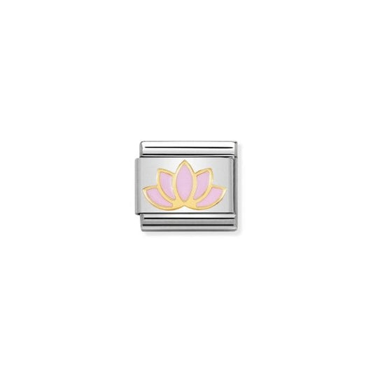 Pink Lotus Flower