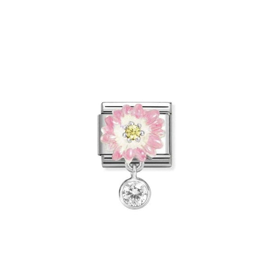Pink daisy with roundel