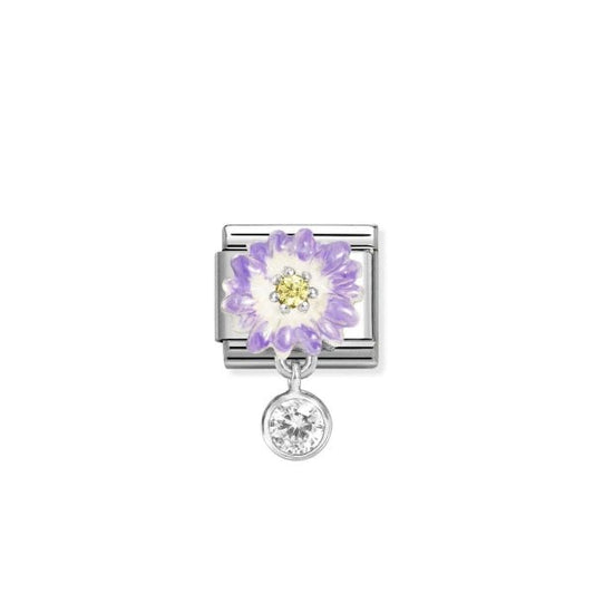 Lilac daisy with roundel