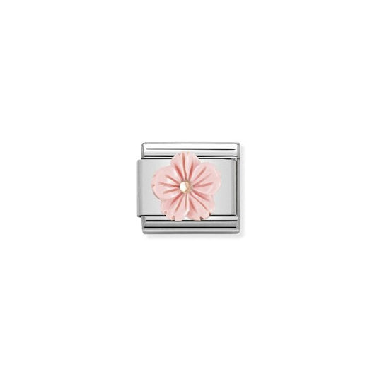 Flower in ROSE CORAL