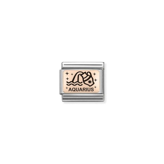 Rose Gold Aquarius