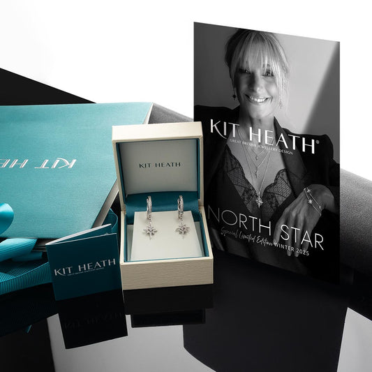 Céleste North Star CZ Hinged Hoop Drop Earrings