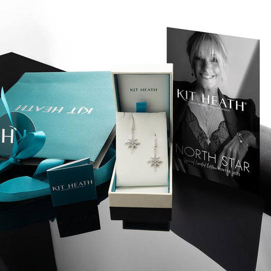 Céleste North Star CZ Grande Drop Earrings