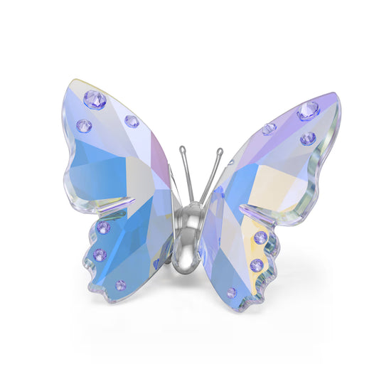 2026 Ariana Grande Capsule Butterfly