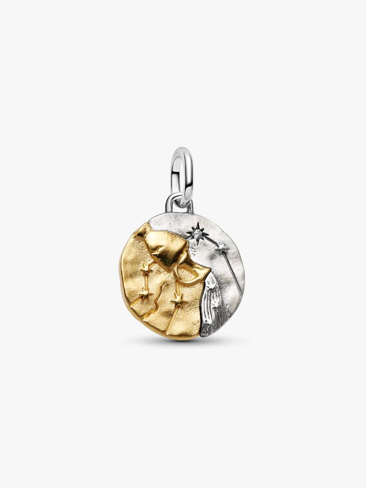 Aquarius Zodiac Medallion Charm (20 Jan - 18 Feb)