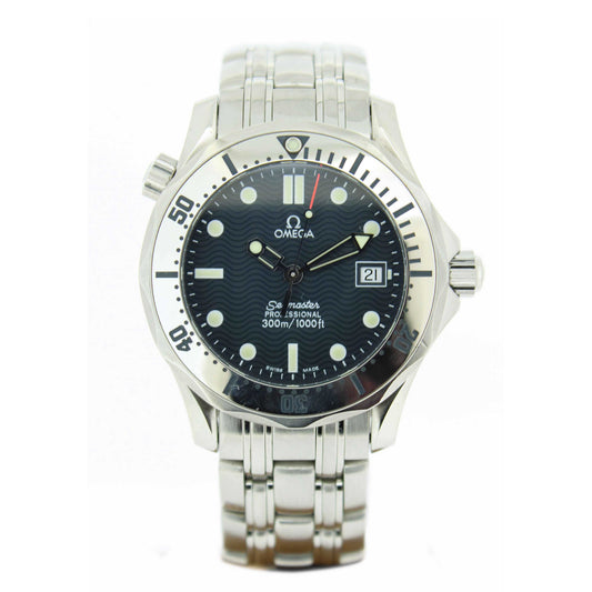 Men's Steel Seamaster 256280