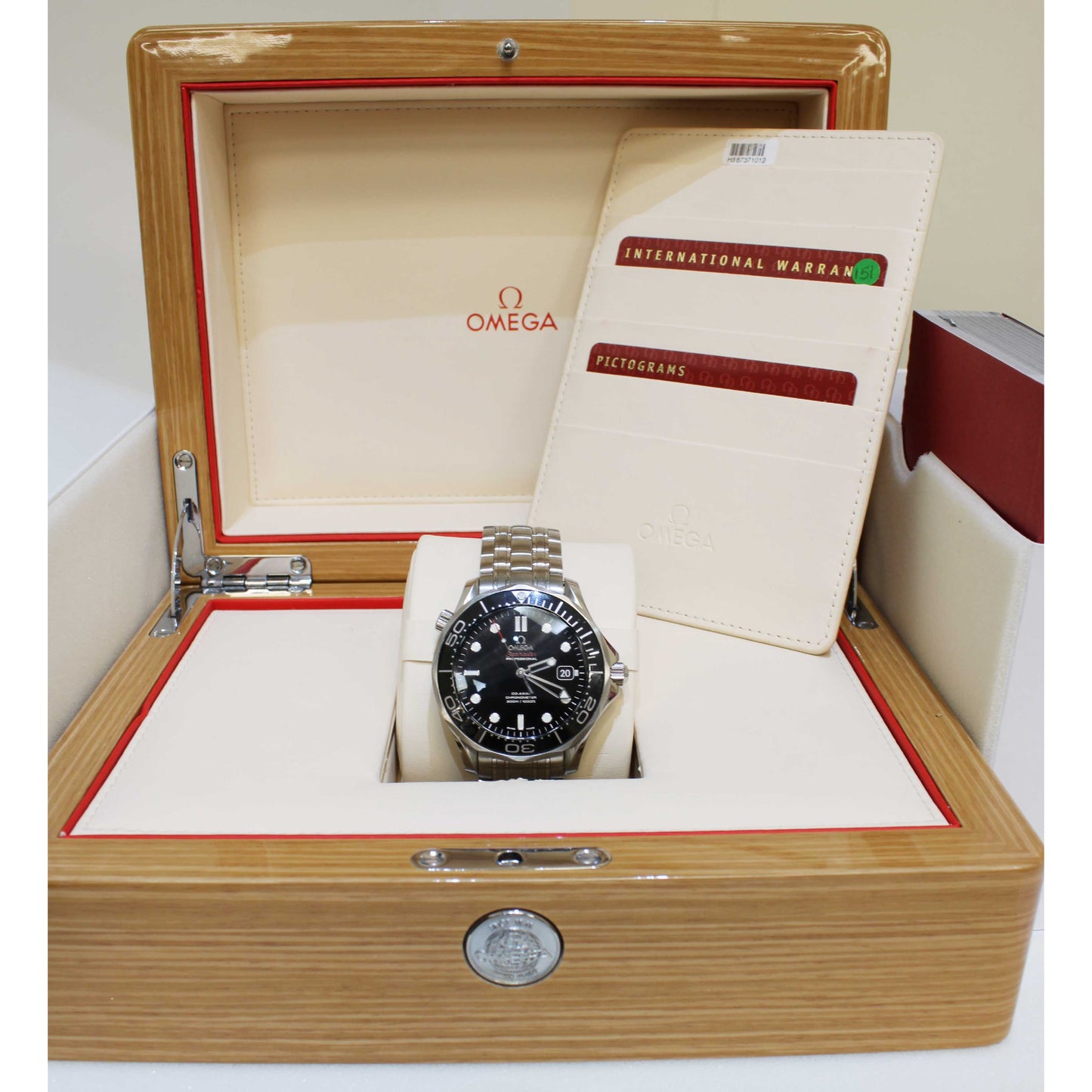 Men's Steel Seamaster 21230412001003