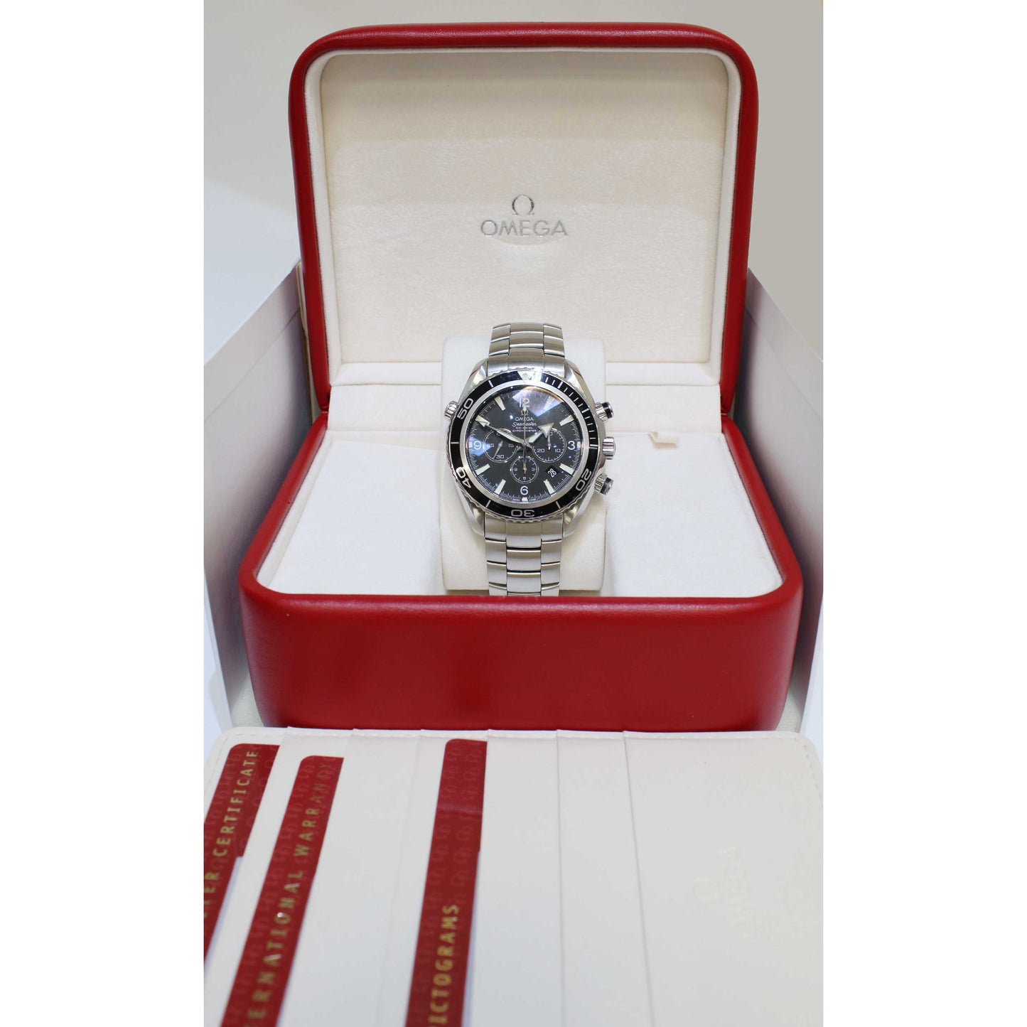 Men's Steel Seamaster Planet Ocean 22105000