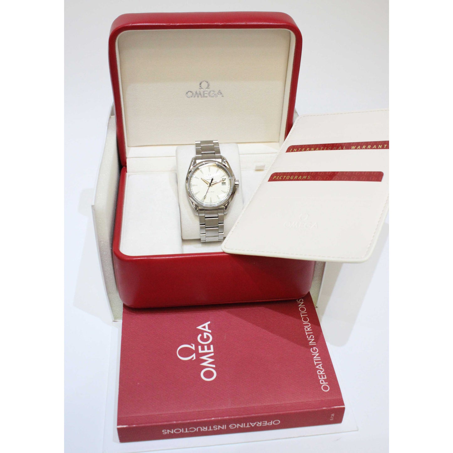 Men's Steel Seamaster 23110396002001