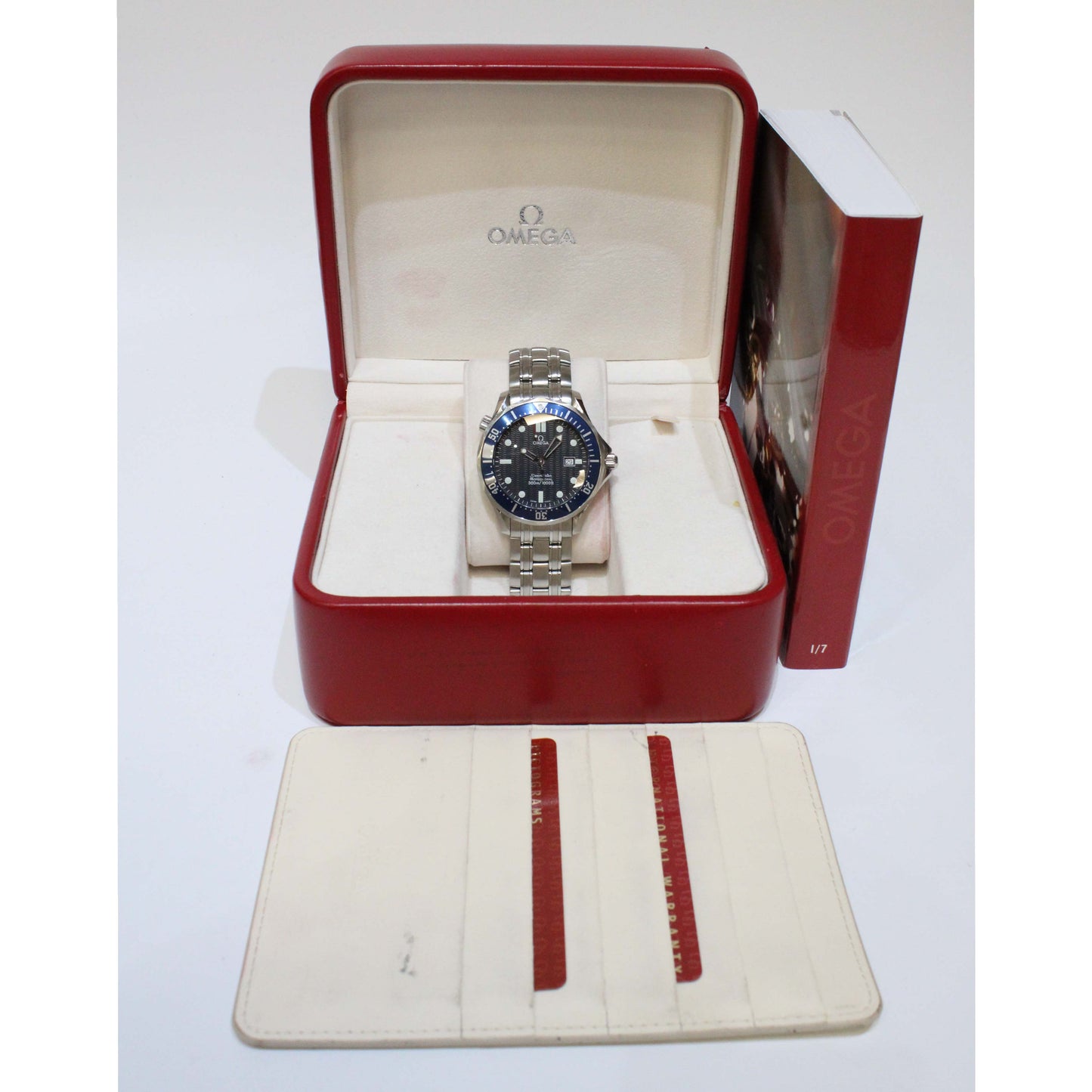 Men's Steel Seamaster 25418000