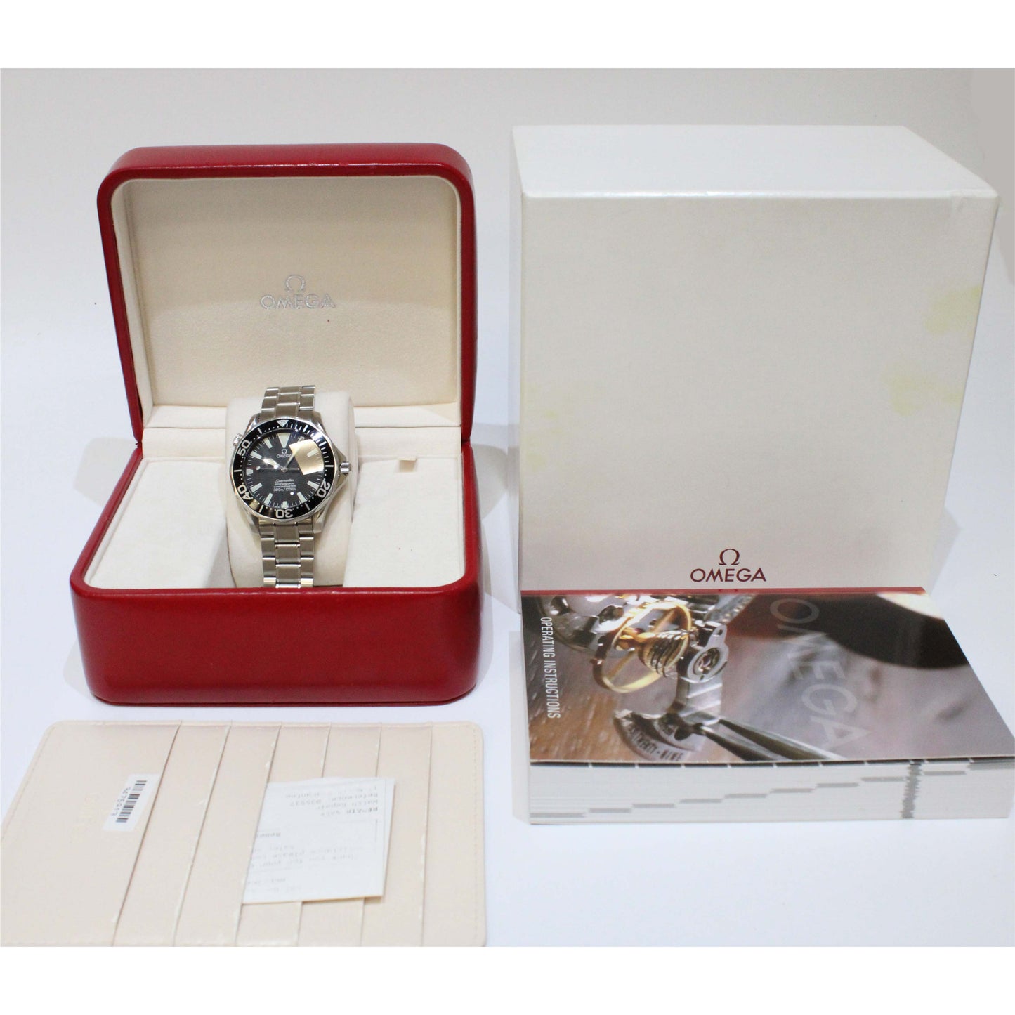 Men's Steel Seamaster 22545000