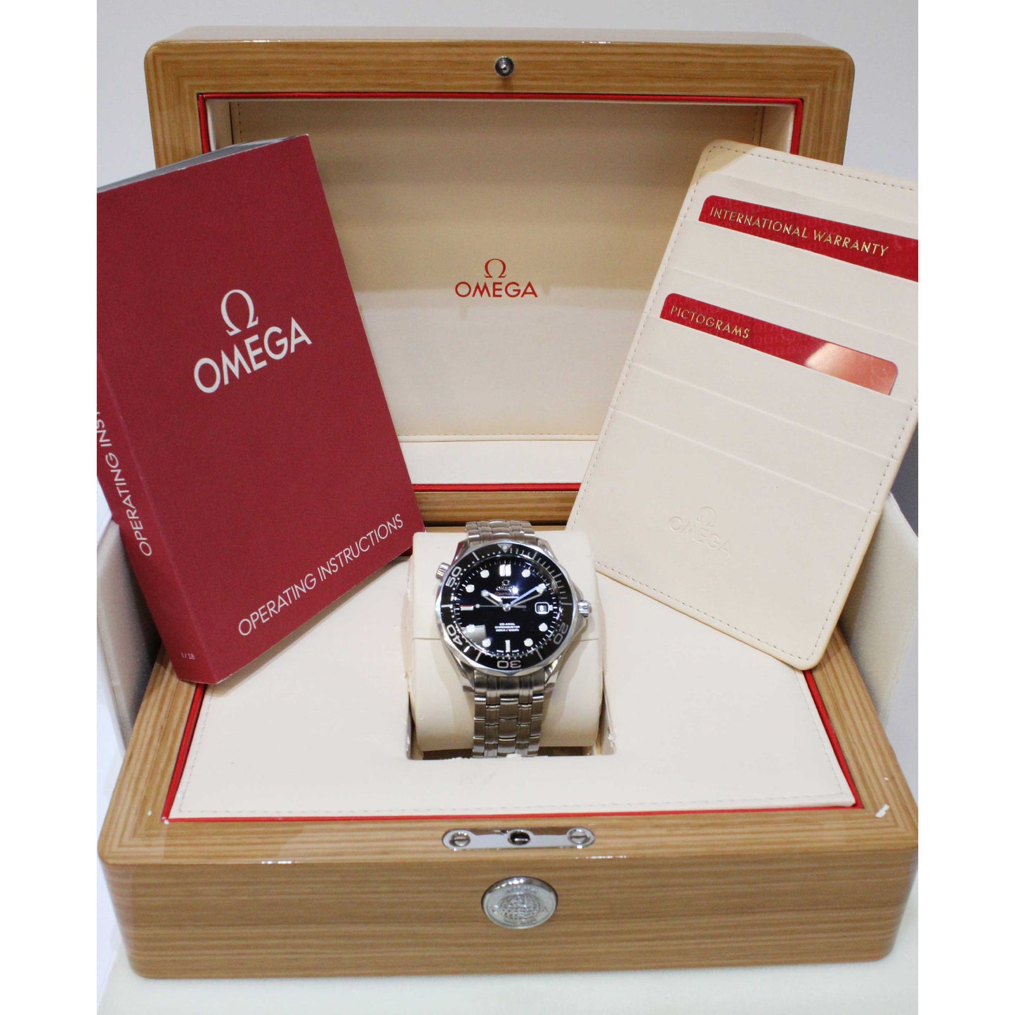 Men's Steel Seamaster 212364120010030