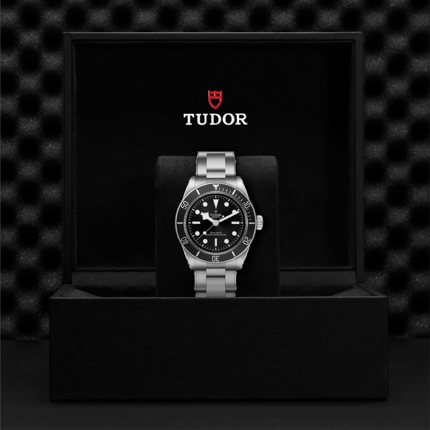 BLACK BAY 41mm Stainless Steel Watch
