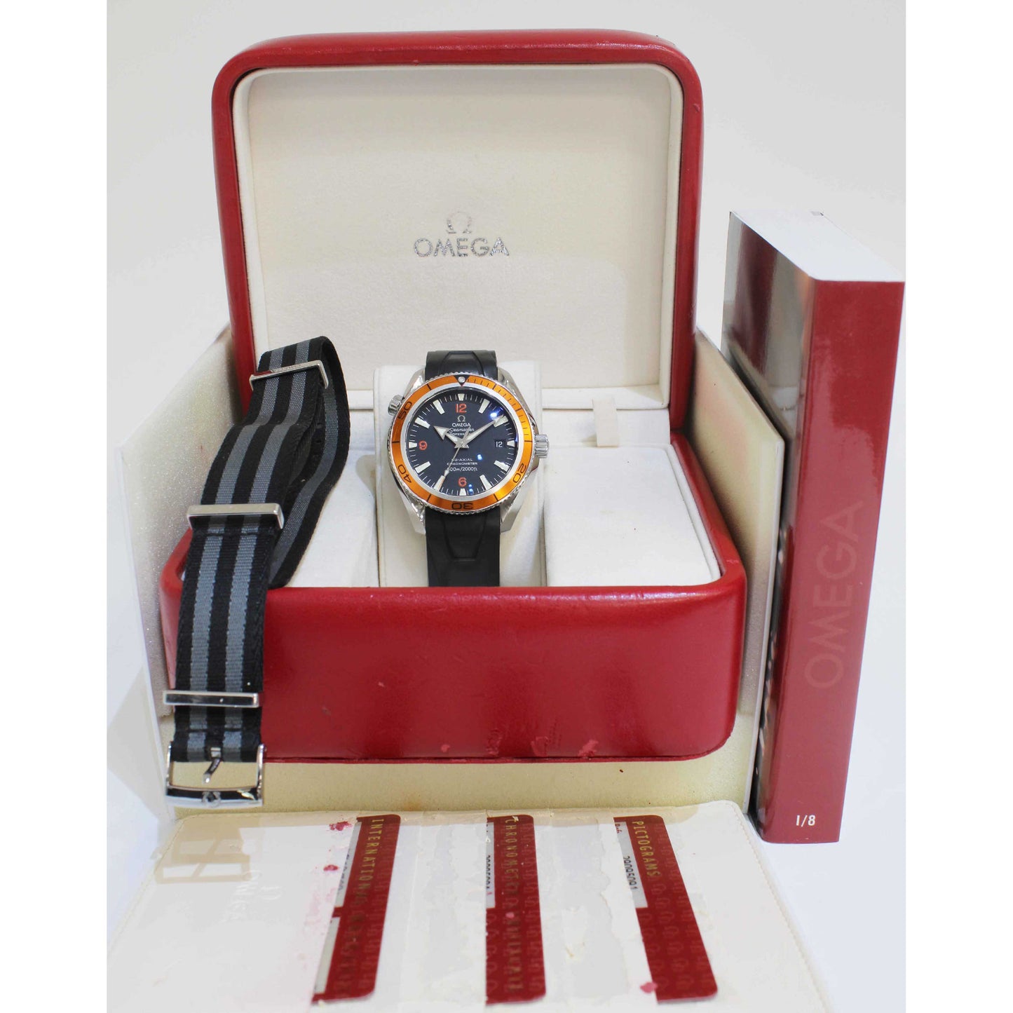 Men's Steel Planet Ocean 29095091