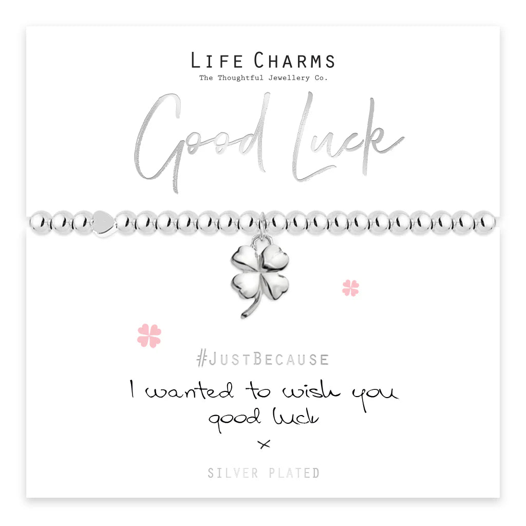 Silver Good Luck Life Charms Bracelet