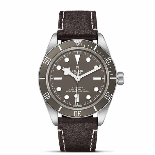 BLACK BAY 58 925 | 41mm Silver Case Taupe Dial