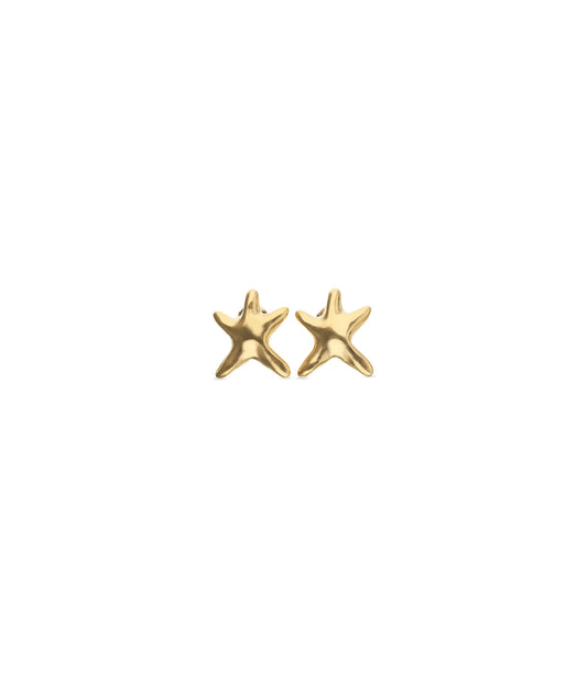 Small starfish earrings in gold