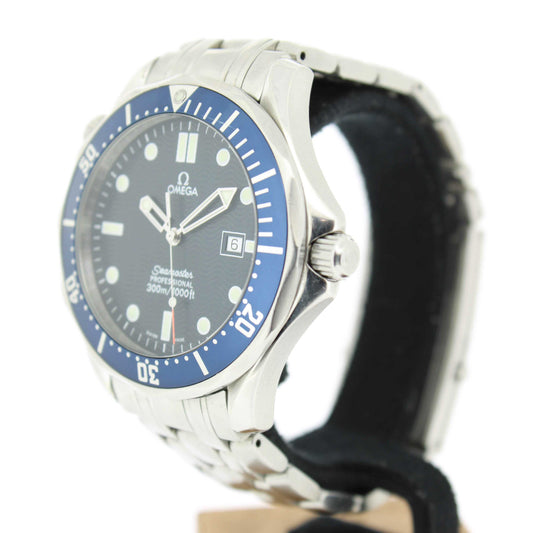 Men's Steel Seamaster 300m 2541800
