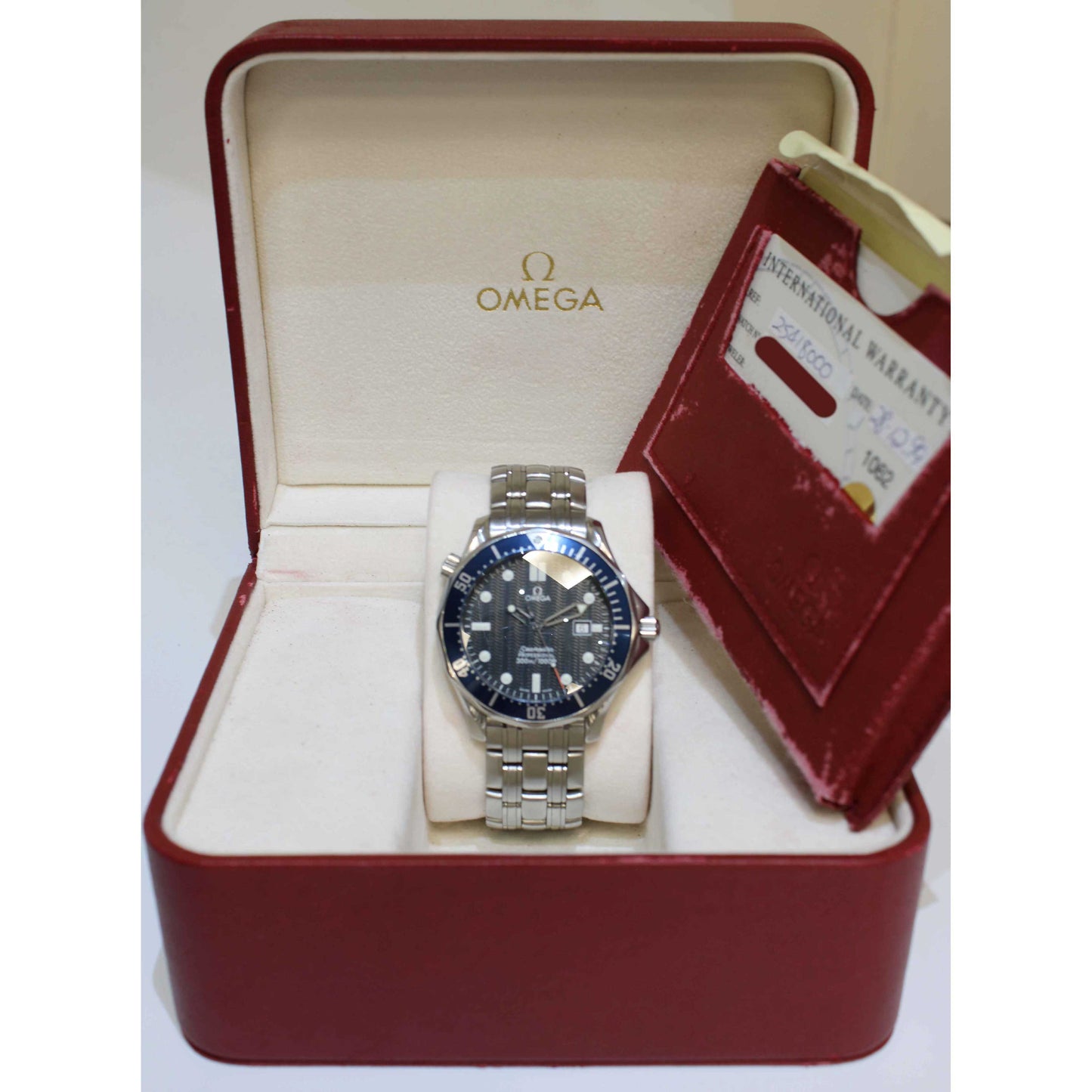 Men's Steel Seamaster 300m 2541800
