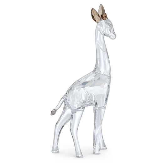 African Sunset Giraffe Nohea