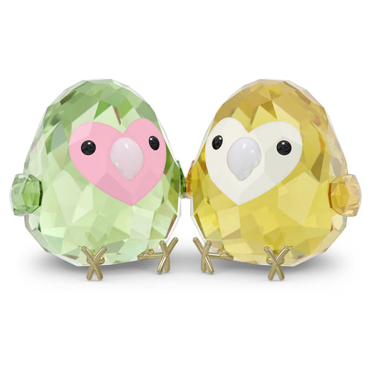 All you Need are Birds Love Bird Couple