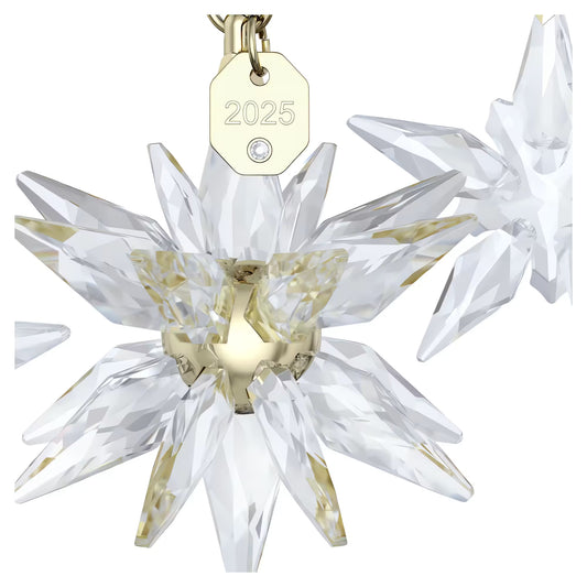 Annual Edition 3D Ornament Set 2025