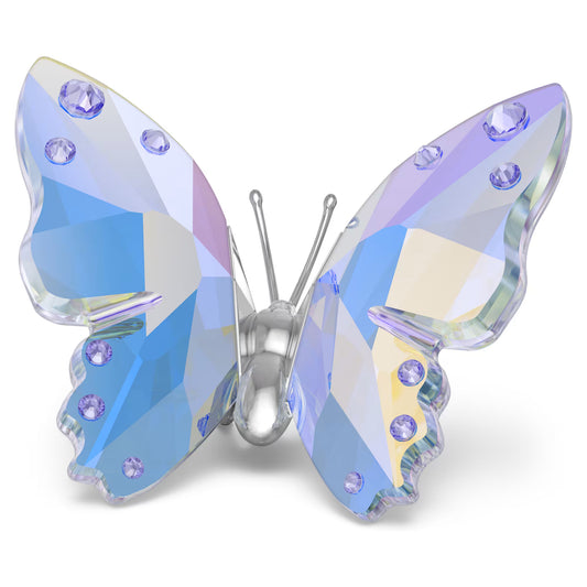 2026 Ariana Grande Capsule Butterfly